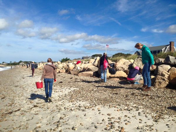 beach cleanup