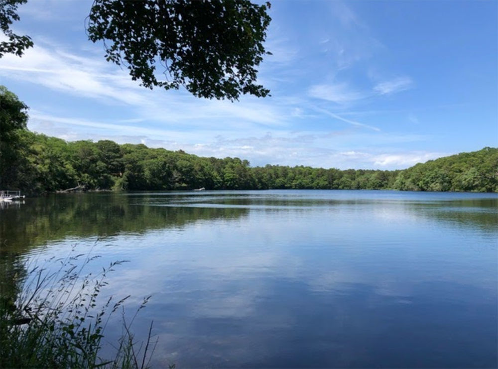 Fresh Pond summer 2023